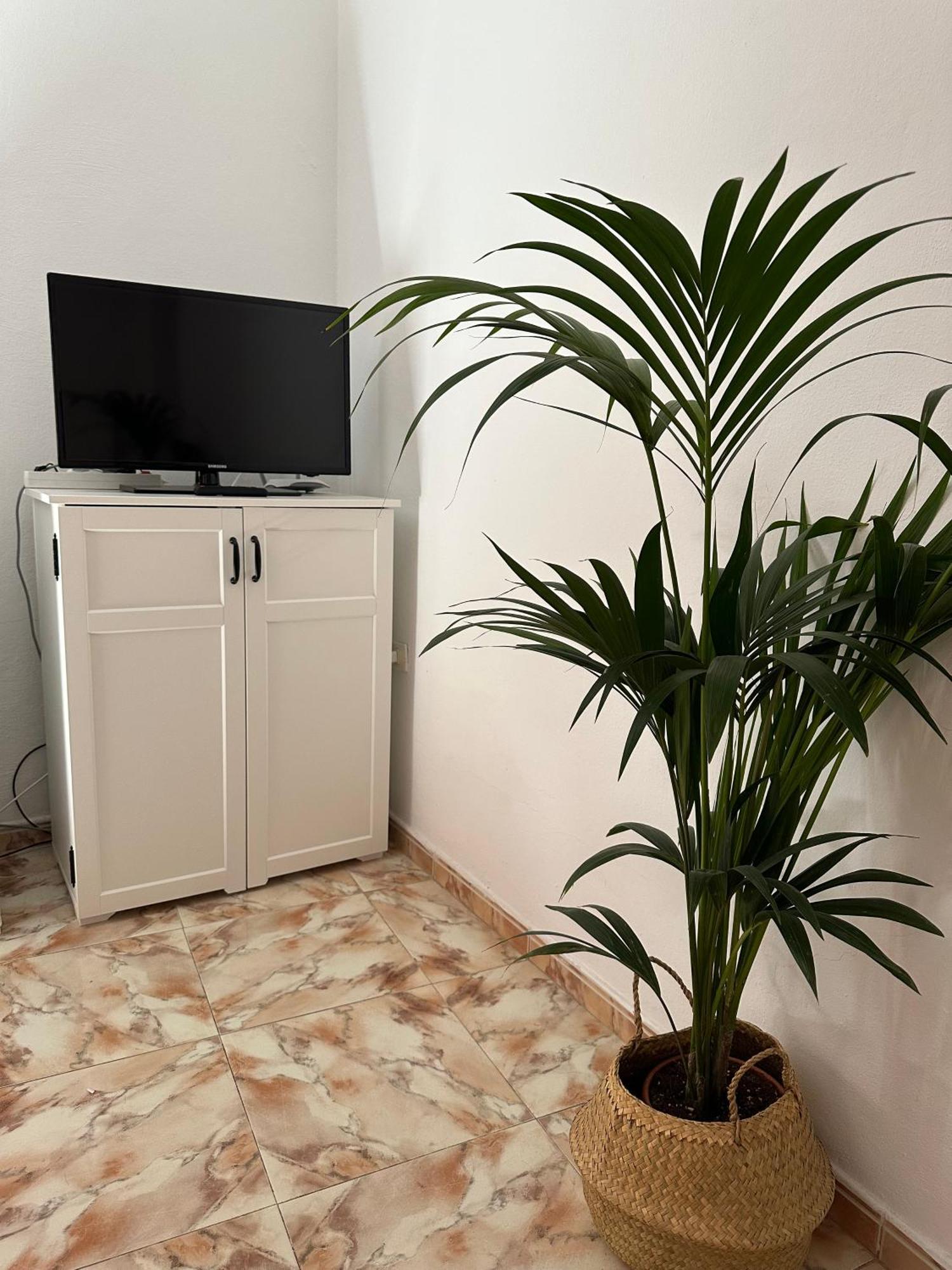 Apartamento Fortaleza บาแญร์โมโซ ภายนอก รูปภาพ